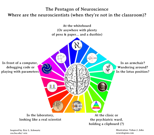 neuropentagram5